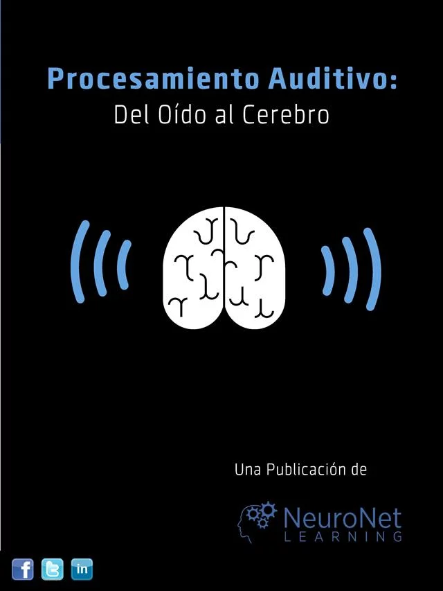 Procesamiento Auditivo: Del Oído al Cerebro