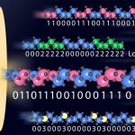 Los investigadores almacenan datos en moléculas artificiales
