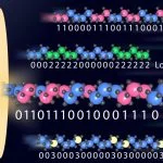 Los investigadores almacenan datos en moléculas artificiales
