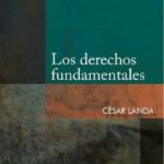 Los derechos fundamentales – César Landa Arroyo [PUCP]