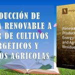 Producción de energía renovable a partir de cultivos energéticos y residuos agrícolas – MDPI