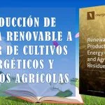 Producción de energía renovable a partir de cultivos energéticos y residuos agrícolas – MDPI